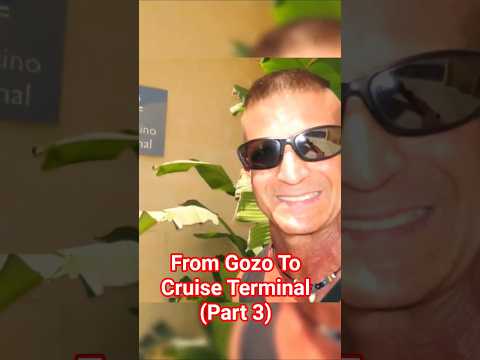 Thumbnail for 🎯We Made It To The Cruise Terminal!🧳  #shorts #viralshorts #trending