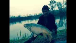 preview picture of video 'Carp Fishing (Sreto Vidovic)'