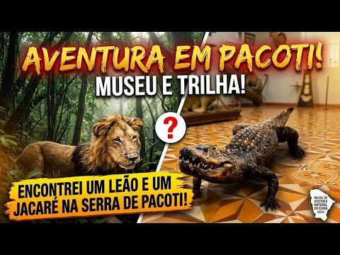 ​O DIA QUE ACHEI UM LEÃO E UM JACARÉ NA SERRA DE PACOTI
