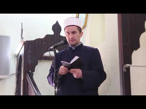 Amir Sylka   Shoqeruesi i Musait a s në xhenet