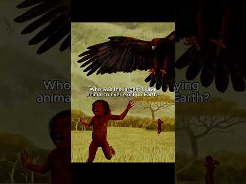 The Flying Giraffe of Prehistory 😳🦒 #prehistoricanimals #dinosaur #extinctanimals