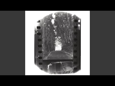 Honeybee video