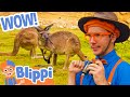 Blippi The Safari Animal Spotter Blippi Educational Videos For Kids Moonbug Literacy