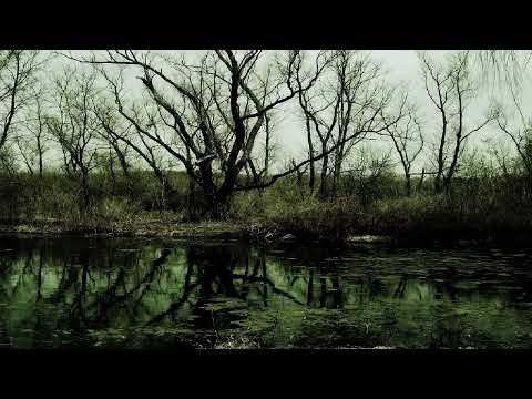 Schüsse am Hochmoor - Krimi Hörspiel