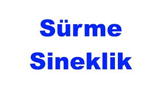 Sineklik Çeşitleri — Sürme, Menteşeli ve Kedi Sinekliği | Beylikdüzü
