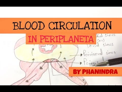 Inter 2nd year SYNAPTIC TRANSMISSION ZOOLOGY
