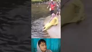 Download lagu Emak Emak Gak bisa Salah pokoknya #viral #fyp #lucu #lucubanget #sort #sorts mp3 Download lagu Emak Emak Gak bisa Salah pokoknya #viral #fyp #lucu #lucubanget #sort #sorts mp3