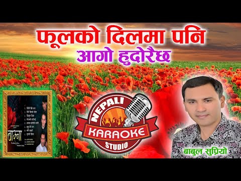 Phool Ko Dilma Pani Karaoke || फूलको दिलमा पनि || Narendra Pyasi || Nepali Karaoke #trending #fyp