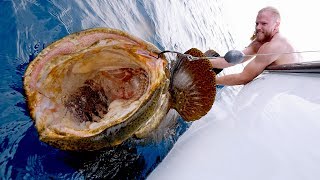 Monster Goliath Groupers and Sharks with Mets Pitchers Noah Syndergaard, Seth Lugo and Jacob Rhame