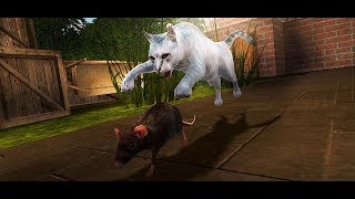 Home Cat Survival Simulator 3D Gameplay Video Android/iOS
