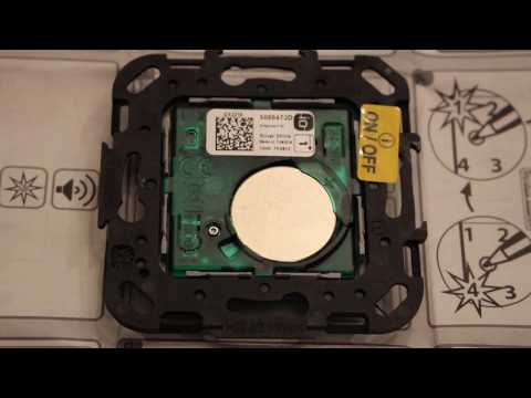 Electric roller shutter Somfy iO radio remote control setting, roller shutter electric motor