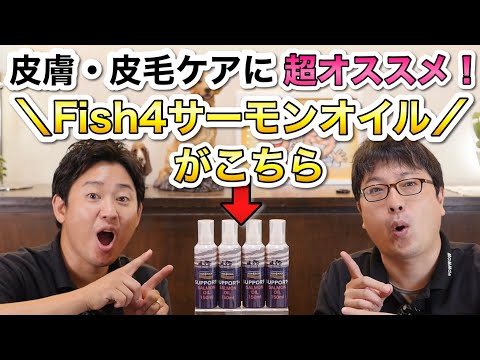 犬用のオメガ3フード