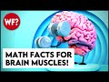 15 Mind Blowing Math Facts Insane But True
