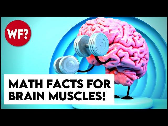Exploring 15 Mind-Blowing Math Facts That Seem Insane but Are True | Magica