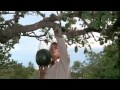 Clip From The Classic Day Of The Jackal 1973