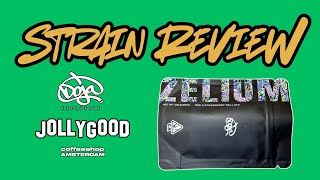 Zelium Jollygood - Strain Review
