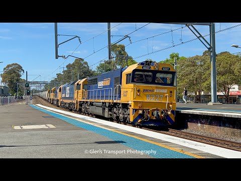 Pacific National Grain 9839 with 8227, 8155, 8212 and 8217 passing Toongabbie NSW 19-11-2022