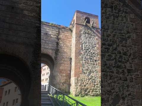 El coleccionista latinoamericano impacta muy positivamente en Arco