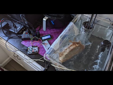 SVM32 | ECE 153B Project Demo