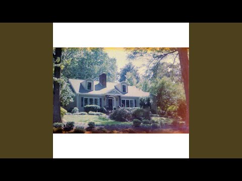 I Felt Like Destroying Something Beautiful