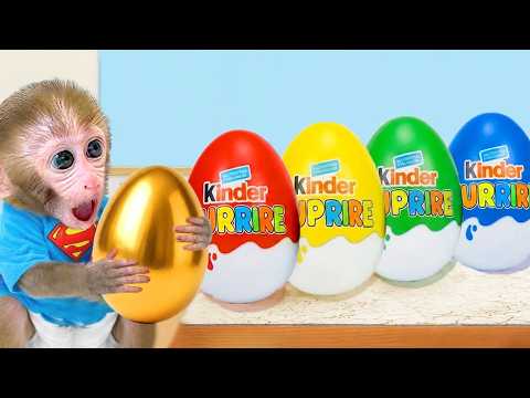 Baby Monkey Bon Bon Explores Kinder Surprise Eggs and Swims in Pool Full of Colorful Balls