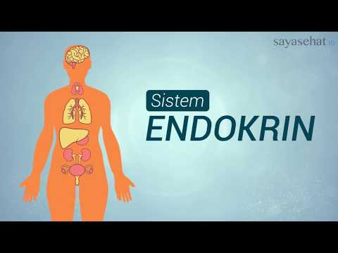 endokrin rák terápia