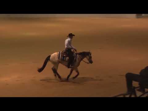 190223 Open Derby Matt Goodman on Spooks Gota Blonde