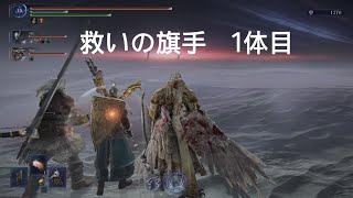 守護者で強化ハルモニアに挑む！ELDEN RING NIGHTREIGN