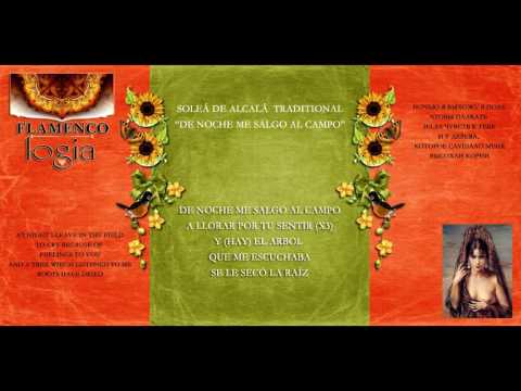 De noche me salgo al campo - Soleá de Alcalá (Letras Flamencas)