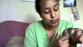 Me & My Ratboys - Introducing Ianto