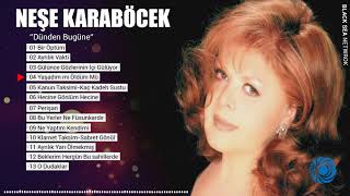 Yaşadım mı Öldüm mü | Neşe Karaböcek