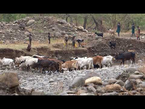 Pastoral Life of the Omo Tribes