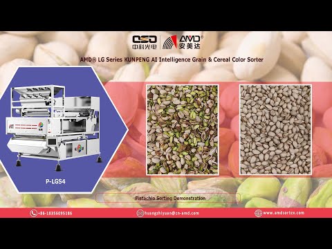 AMD® P-LGS4 AI Intelligence Color Sorter Nuts Shell/Kernel Processing Machine for Pistachio Sorting