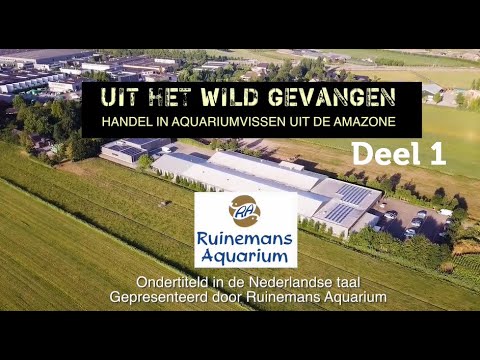 Uit het wild gevangen, deel 1/10