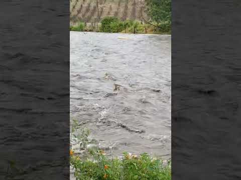 De archivo: las fuertes lluvias generaron la creciente del Río #jenesanoboyaca