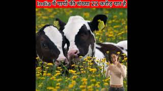 #shorts Amazing facts about Cows #facts #cow