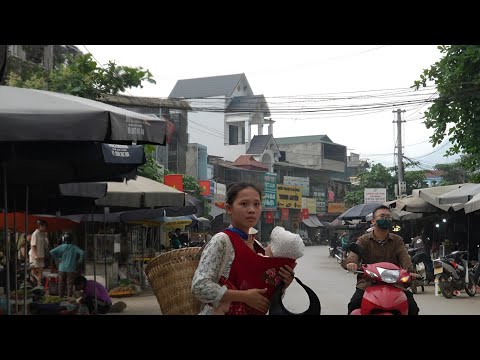 Harvesting Bitter Melon for Sale in Town | The Real Life of a 17 Year Old Single Mother