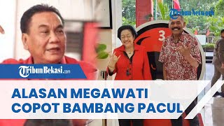 DIGANTI FX RUDY! Inilah Alasan Megawati Copot Bambang Pacul sebagai Ketua DPD PDIP Jateng
