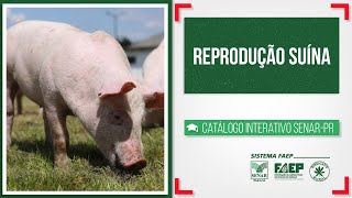 Miniatura do vídeo