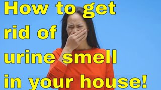 How To Get Rid Of The Urine Smell In Your House [Detailed Guide]