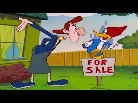It's Moving Day! | 1 Hour of Woody Woodpecker Full Episodes