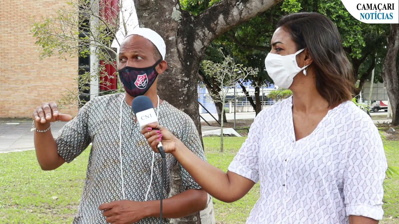 Conheça a árvore que dá nome a cidade de Camaçari