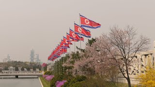 North Korean Foreign Policy in Focus: Emerging Scholar Perspectives