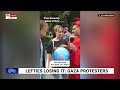 Lefties losing it: Pro-Palestinian protesters lashed for ‘frightfully stupid’ remarks