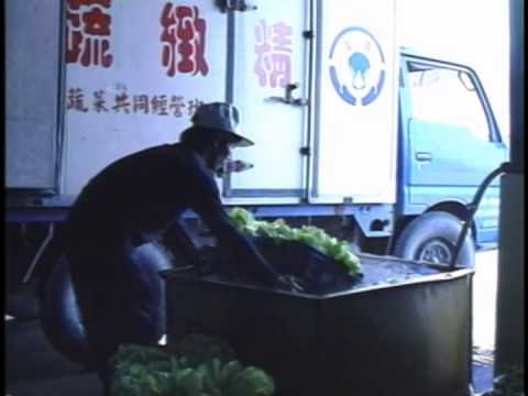 蔬菜壓差預冷技術