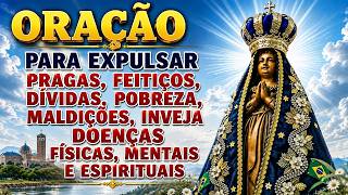 🌹ORAÇÃO À NOSSA SENHORA APARECIDA 🙏 PARA PROTEGER SUA CASA E SUA FAMÍLIA