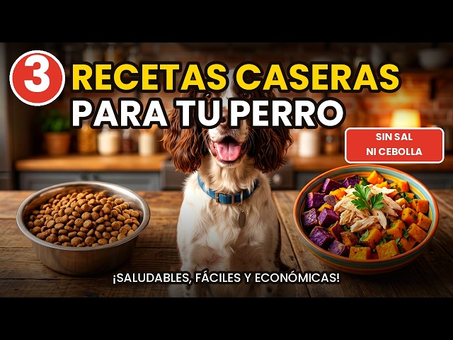 Vídeo relacionado con Cocina Sana Para Tu Perro: ¡No más piensos! con recetas caseras y fáciles (Fuera de colección)