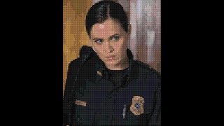 the walking dead officer dawn