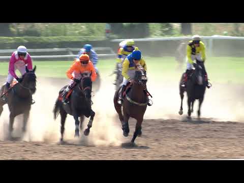 8. 8. 2020 - 3. dostih - Cena společností Trios, Zámecký vrch a Dobrá nálada