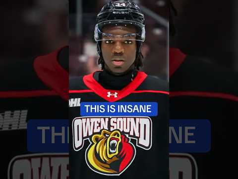 Leafs Digest video artwork